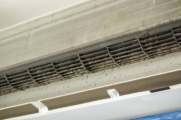 Best Air Duct Cleaning Near Me  in Braddock, PA